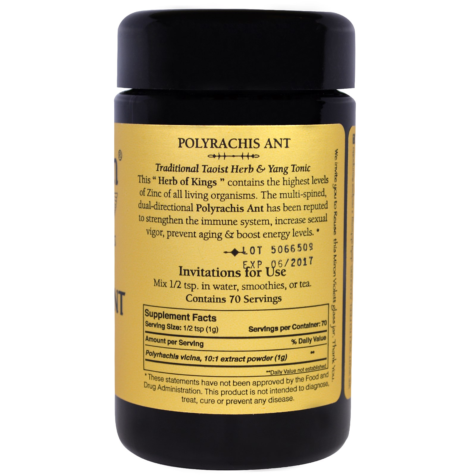 Sun Potion, Formiga Polyrachis em Pó, Selvagem, 70 g - Imagem 2