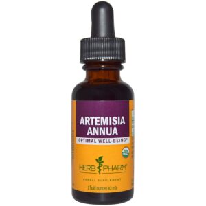 Erva Pharm Artemisia annua uma onça
