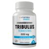 Comprar evitamins tribulus - 90 tabletes preço no brasil tribulus suplemento importado loja 3 online promoção - 15 de abril de 2024