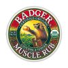 Comprar badger organic sore muscle rub cayenne and ginger 56 g preço no brasil cuidados pessoas suplemento importado loja 7 online promoção - 27 de setembro de 2022