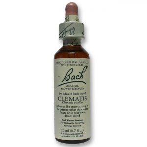 Comprar bach flower remedies clematis flower essence 20 ml preço no brasil ansiedade suplemento importado loja 11 online promoção - 18 de agosto de 2022