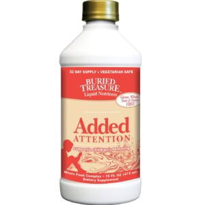 Buried Treasure ADICIONADO Atenção 16 fl oz
