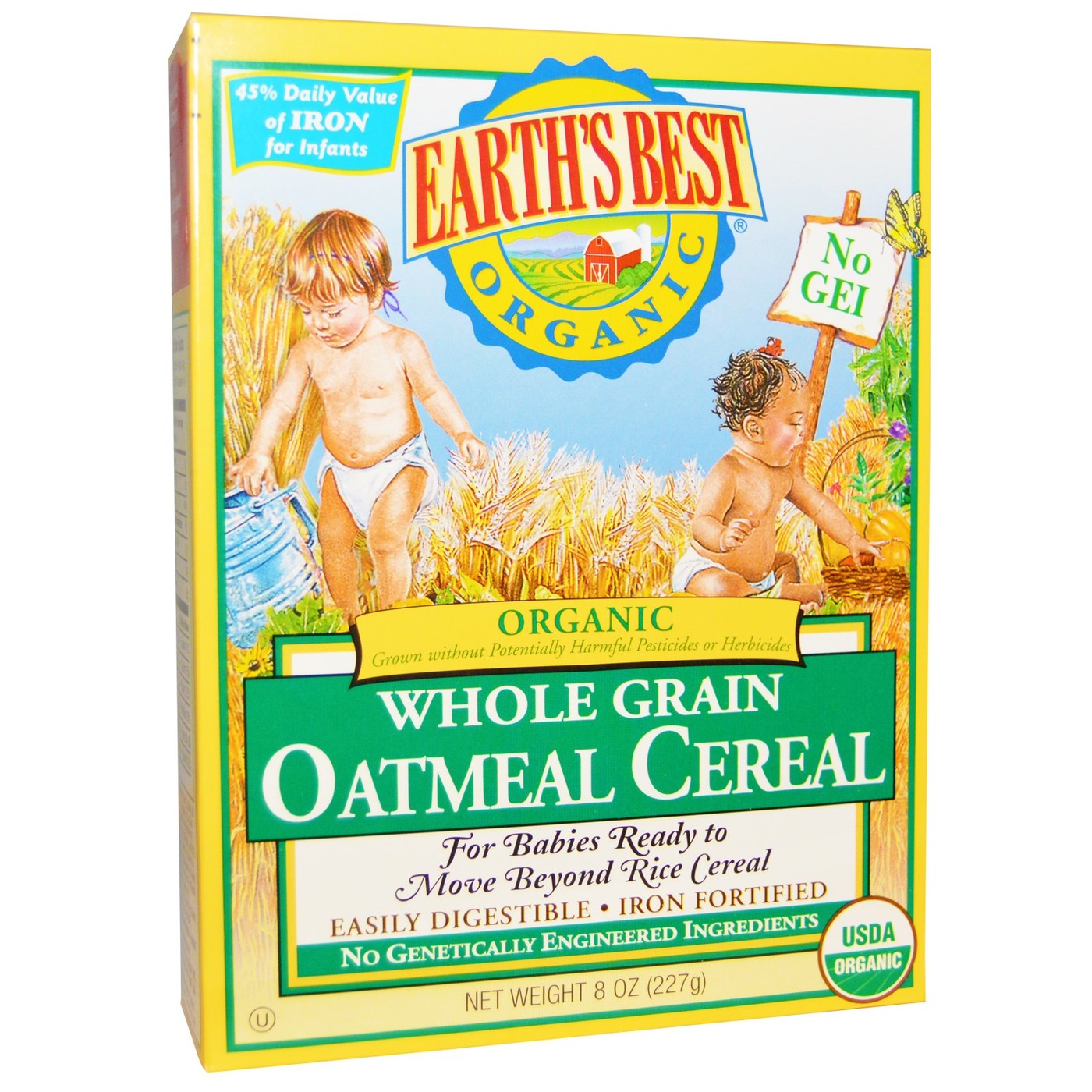 Earth's Best Whole Grain Aveia Cereal 8 oz