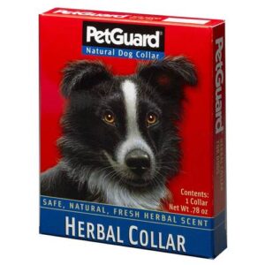 Comprar petguard collar ervaal para cães 1 collar preço no brasil cuidados para animais suplemento importado loja 19 online promoção - 6 de abril de 2024