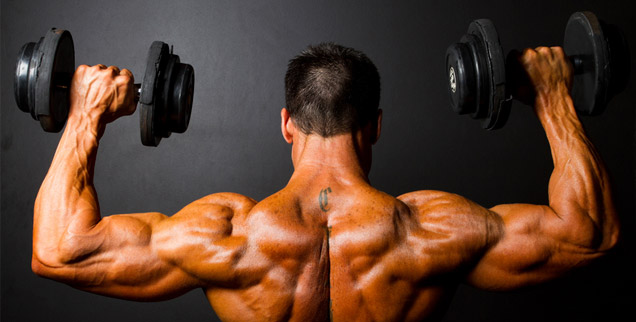Como os aminoácidos contribuem para o ganho de massa muscular?