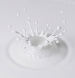 Conheça os benefícios da proteína do leite para seu treino muscular