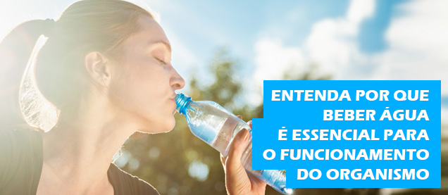 Entenda por que beber água é essencial para o funcionamento do organismo