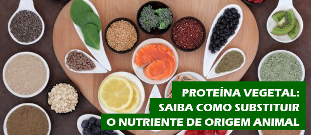 Proteína Vegetal: Saiba como Substituir o Nutriente de origem animal