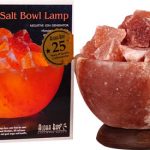 Comprar aloha bay salt bowl lamp with stones -- 1 lamp preço no brasil suplementos em promoção suplemento importado loja 3 online promoção - 16 de abril de 2024