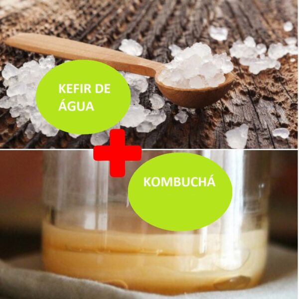 Combo – Kefir de Água + Kombuchá – com Frete Grátis