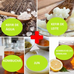 Combo – kefir de água + kefir de leite + kombucha + jun + kombucha do himalaia – com frete grátis