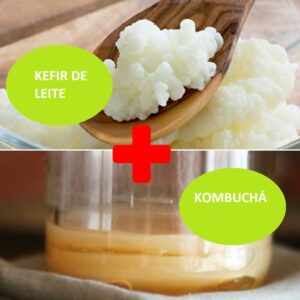 Combo – kefir de leite + kombuchá – com frete grátis
