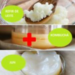 Combo – kefir de leite + kombucha + jun – com frete grátis 1